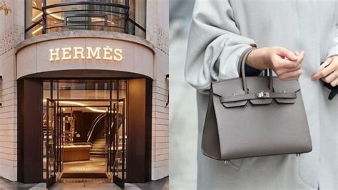 hermes birkin suit|tina cavalleri Hermes lawsuit.